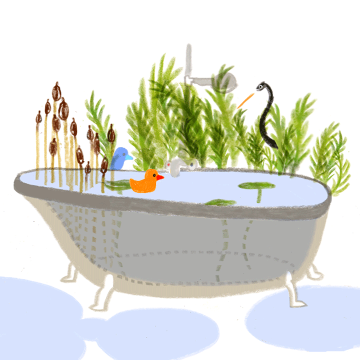 Sarah Gorf-Roloff · Studio Ranokel