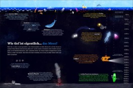 Narrative Infographic for kids about the Deep Sea with bioluminescent squid and other creatures