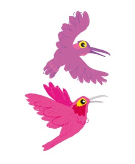 Illustrierte Kolibris