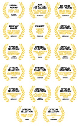 Sarah Gorf-Roloff · Studio Ranokel