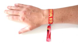 Festivalbändchen 48h Wilhelmsburg mit Flamingo