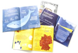 Sarah Gorf-Roloff · Studio Ranokel