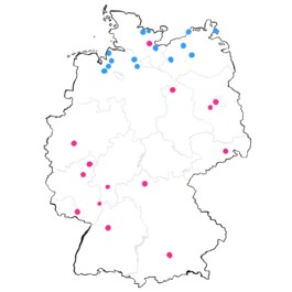 Handgezeichnete Deutschlandkarte für tonali