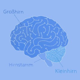 Sarah Gorf-Roloff · Studio Ranokel