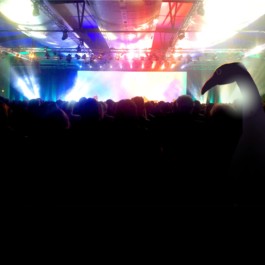 German Design Award Winner Sarah Roloff für Musik von den Elbinseln 