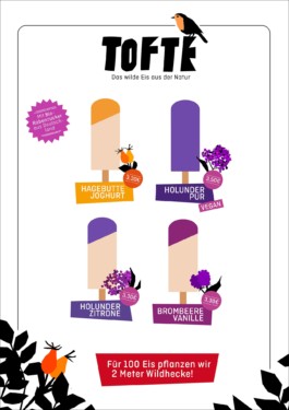 Illustrierte Eispreistafel für Tofte