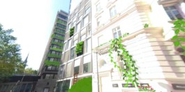 Sarah Gorf-Roloff · Studio Ranokel