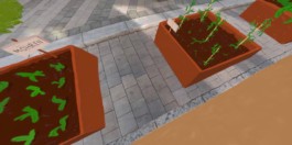 Sarah Gorf-Roloff · Studio Ranokel