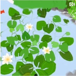 Sarah Gorf-Roloff · Studio Ranokel