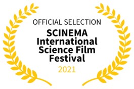 Sarah Gorf-Roloff · Studio Ranokel