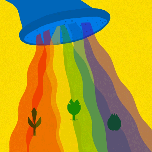 Sarah Gorf-Roloff · Studio Ranokel