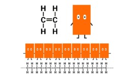 Sarah Gorf-Roloff · Studio Ranokel