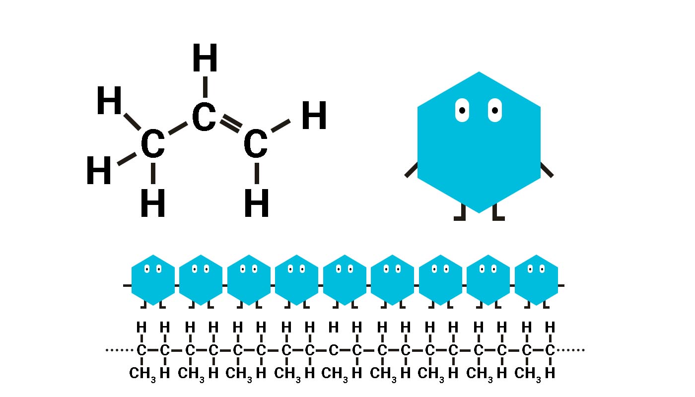 Illustrative Branding Sarah GorfRoloff · Studio Ranokel