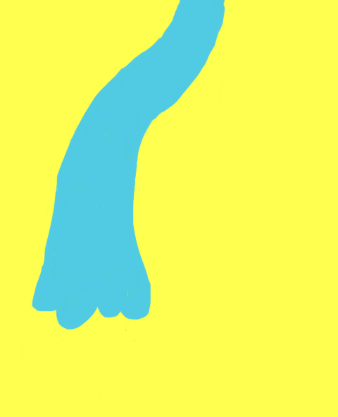 Sarah Gorf-Roloff · Studio Ranokel