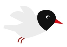 Sarah Gorf-Roloff · Studio Ranokel