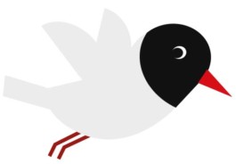 Sarah Gorf-Roloff · Studio Ranokel