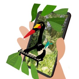 Sarah Gorf-Roloff · Studio Ranokel