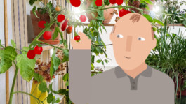 Sarah Gorf-Roloff · Studio Ranokel