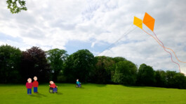 Sarah Gorf-Roloff · Studio Ranokel