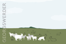 Sarah Gorf-Roloff · Studio Ranokel