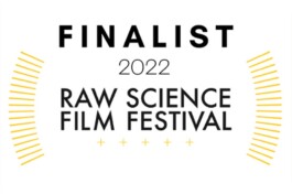 Sarah Gorf-Roloff · Studio Ranokel