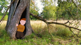 Sarah Gorf-Roloff · Studio Ranokel