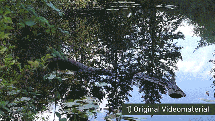 Sarah Gorf-Roloff · Studio Ranokel