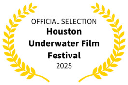 Sarah Gorf-Roloff · Studio Ranokel