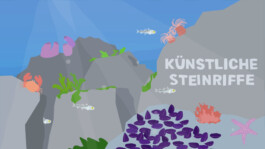 Sarah Gorf-Roloff · Studio Ranokel