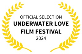 Sarah Gorf-Roloff · Studio Ranokel