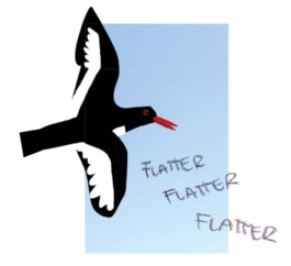 Sarah Gorf-Roloff · Studio Ranokel