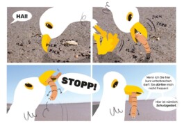 Sarah Gorf-Roloff · Studio Ranokel