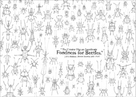 Sarah Gorf-Roloff · Studio Ranokel