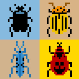 Sarah Gorf-Roloff · Studio Ranokel